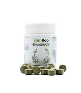 SlimBoo 2X1